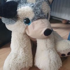 Large dog teddy