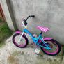 bike Image 2