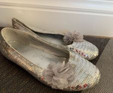 Silver Sparkly Party Shoes
