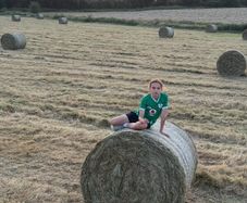 Top Quality Horse Hay 2026