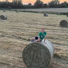 Top Quality Horse Hay 2026