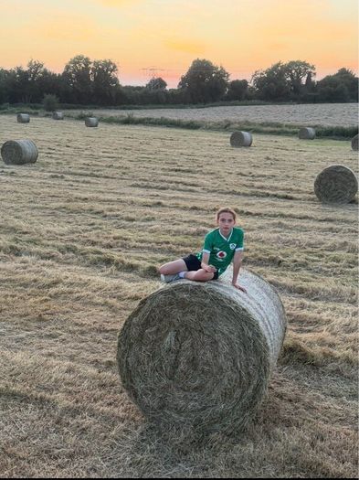 Top Quality Horse Hay 2026