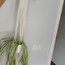 Macrame hanging and plant Image 2