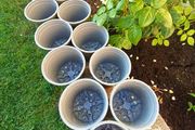11x plastic plant pot