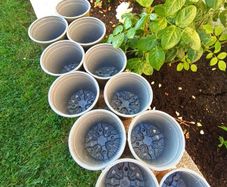 11x plastic plant pot