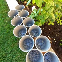 11x plastic plant pot