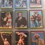 WWF Merlin Trading Cards full set of 96 Image 5
