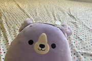 teddy