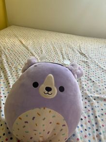 teddy