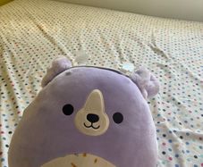 teddy