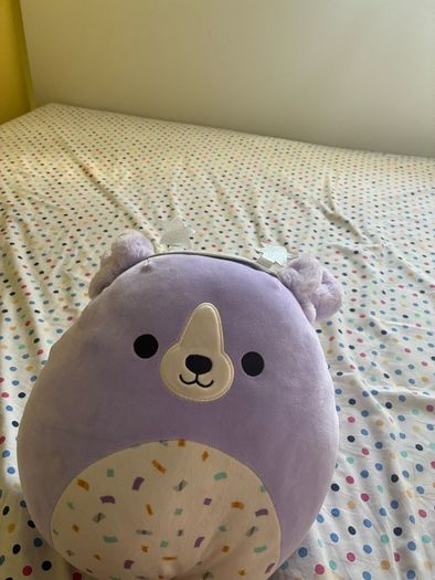 teddy