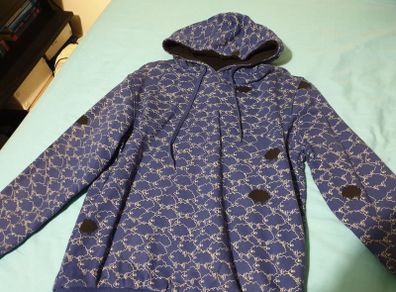 blue hoodie