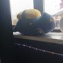plush Image 2