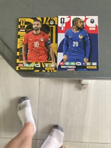 Adrenalyne Xl World Cup cards