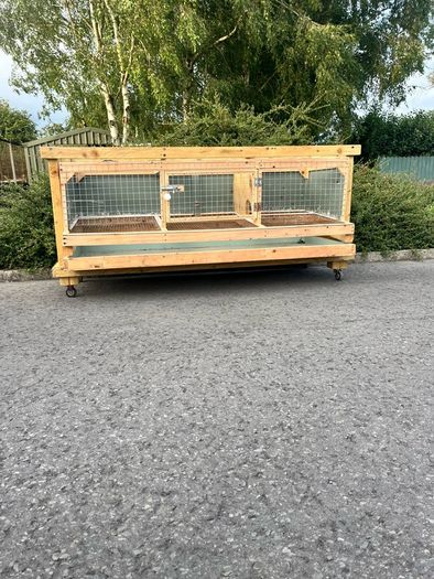 quail/chick cage