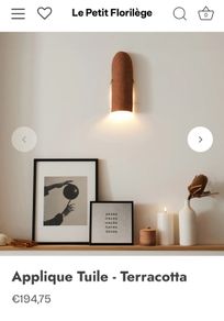 Terracotta Wall Lamp