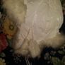 BNWT white faux fur ski women's Bergamo hat size S Postage included Image 4