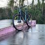 Trek marlin 7 gen 3 2025 size L Image 6