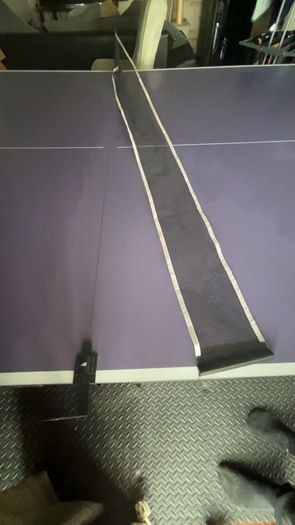 table tennis table