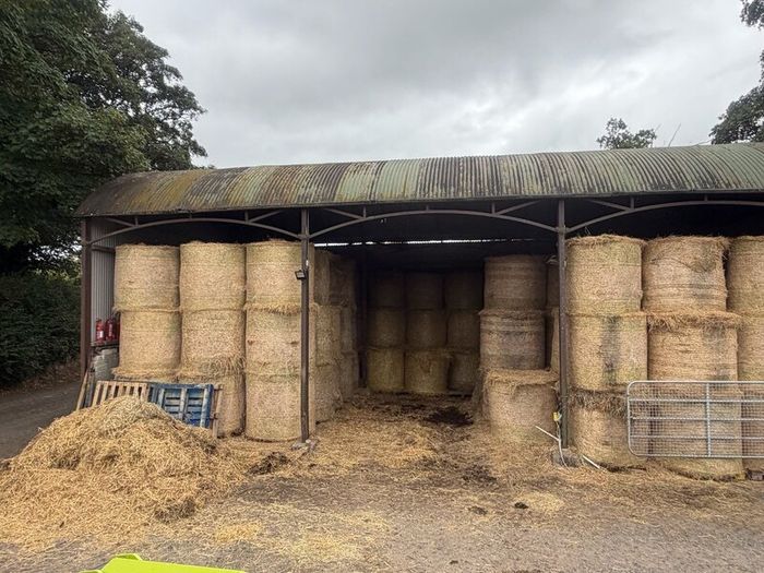 Top Quality Horse Hay 2026