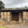 Top Quality Horse Hay 2026 Image 3