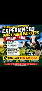 Dairy Farm assistants available