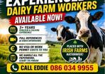 Dairy Farm assistants available