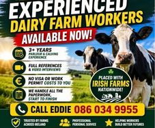 Dairy Farm assistants available