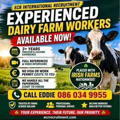 Dairy Farm assistants available