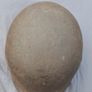 M42 German WW2 original Helmet Image 4