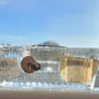 Waterford Crystal Clock Image 6