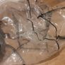 PHIL AND TEDS accessories- rain cover, mesh, cocoon, seat Image 2