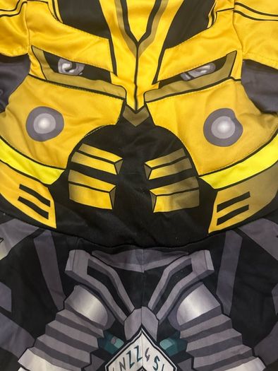 Bumblebee costume