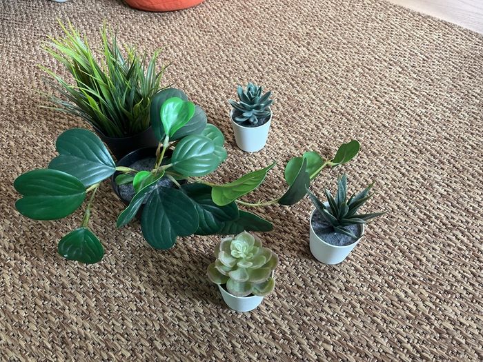 fake plants
