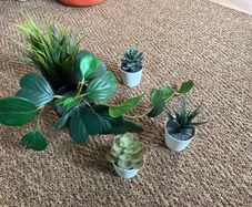 fake plants