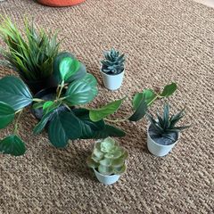 fake plants