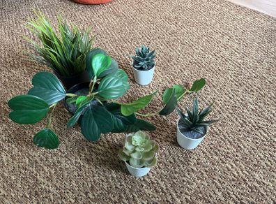 fake plants