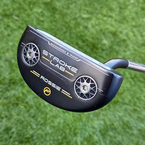 Odyssey Stroke Lab - Rossie
