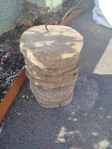 7 cement tree trunk paving stones
