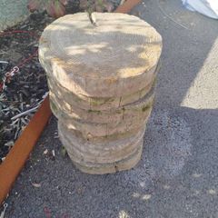 7 cement tree trunk paving stones