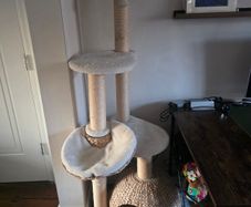Laguna Cat Tree