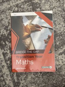 Bridge The Gap TY Maths