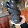 Kooga rugby boots Image 3