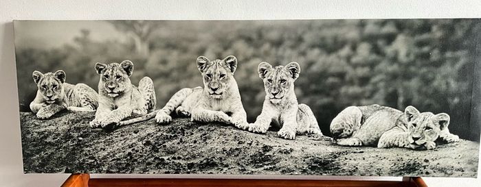 Large Black & White Wall Art Prints. Set of 3