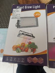 plant grow light