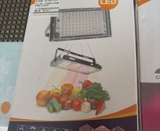 plant grow light