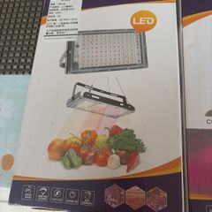 plant grow light