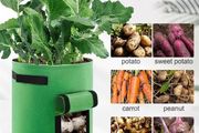 1PC Felt Potato Planting Bag Large Diameter Vegetable Plant Seedling Bag Non-Woven Felt Potato Growing Bucket