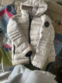 canada goose