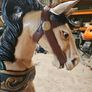 Handmade Handcrafted Wooden Painted Rocking Horse Image 5